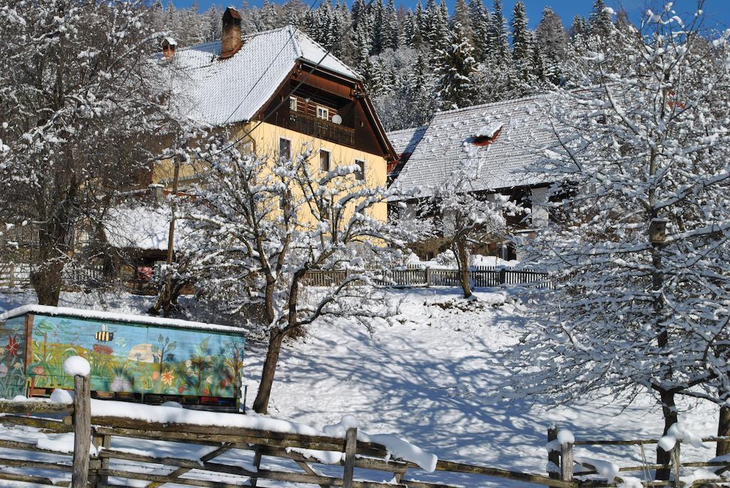 Schlintl-Hof Villa Liebenfels Dış mekan fotoğraf