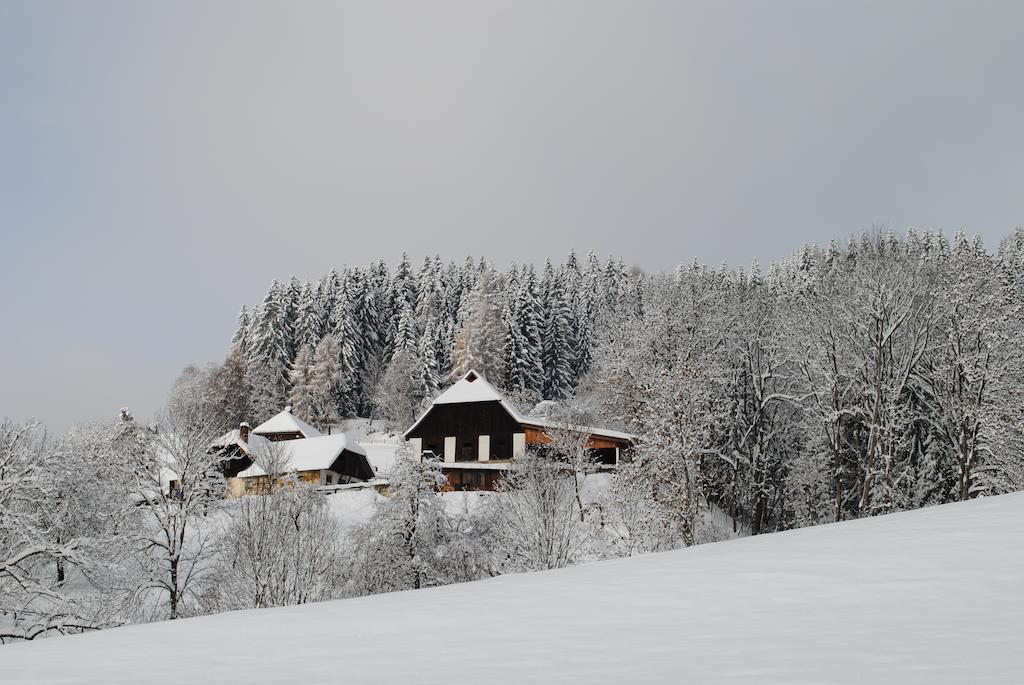 Schlintl-Hof Villa Liebenfels Dış mekan fotoğraf